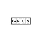 ge ni u s -lapel pin
