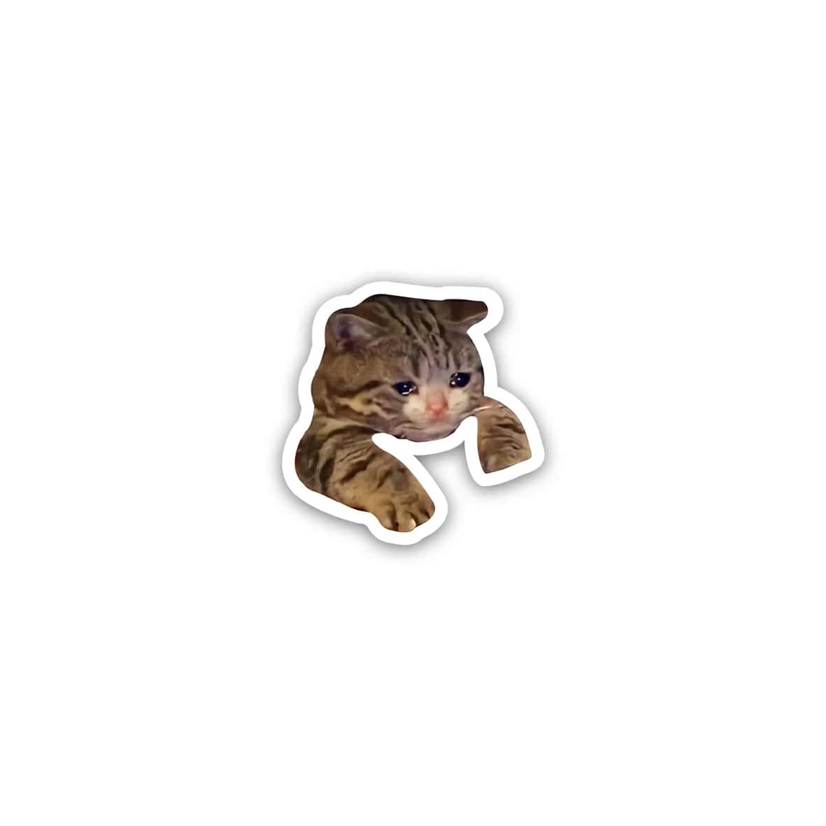 6CITdt56G0Buqjr2YfBzSSvT3Y6addkJ5FJzMJkC.jpg Cat meme 5- Sticker - الصورة 1
