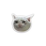 Crying Cat- sticker