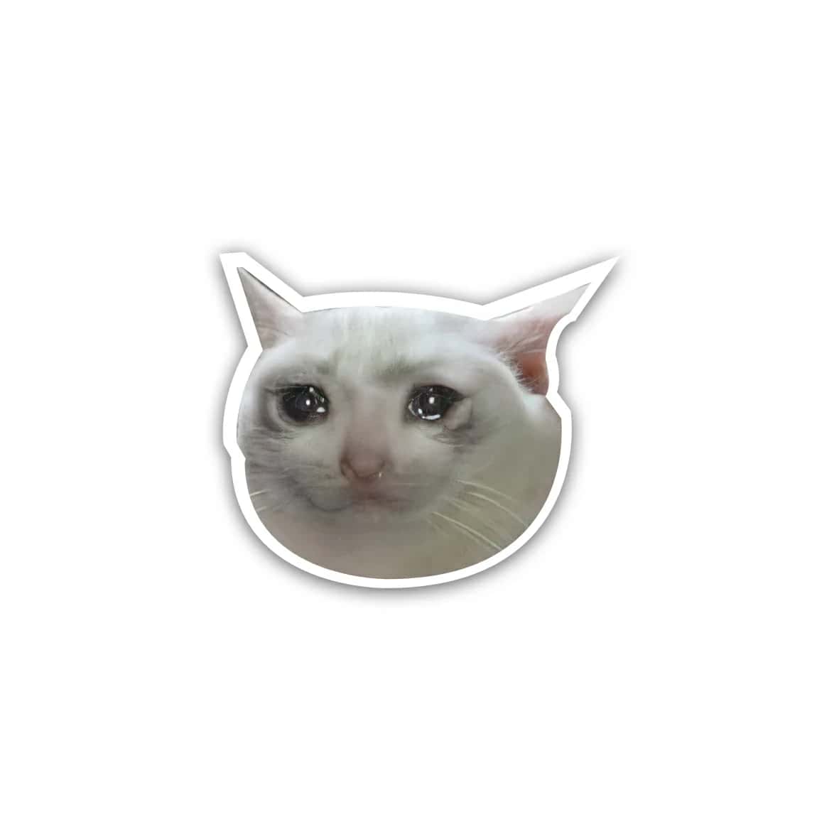 A56rOhJtD2ucP1xwbpS0ePnQSnnpdj3UooNZXmVO.jpg Crying Cat- sticker - الصورة 1