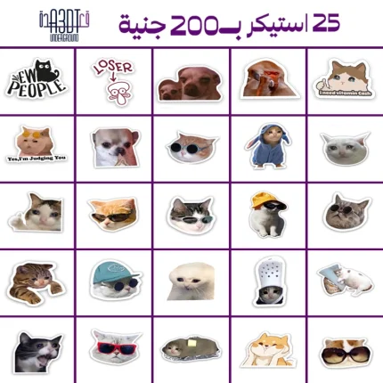 14 Laptop sticker bundle