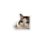 Cat Like meme- sticker
