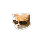 Cat meme wearing glasses 2- sticker