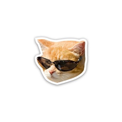 Cat meme wearing glasses 2- sticker
