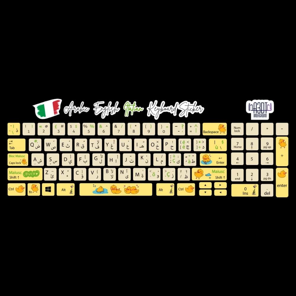 GaXTujFa6sGcHnrAWCjZabImNCYWaWvjkhSWl3lG.jpg Ducks (Arabic - English- Italian)- keyboard sticker - الصورة 1