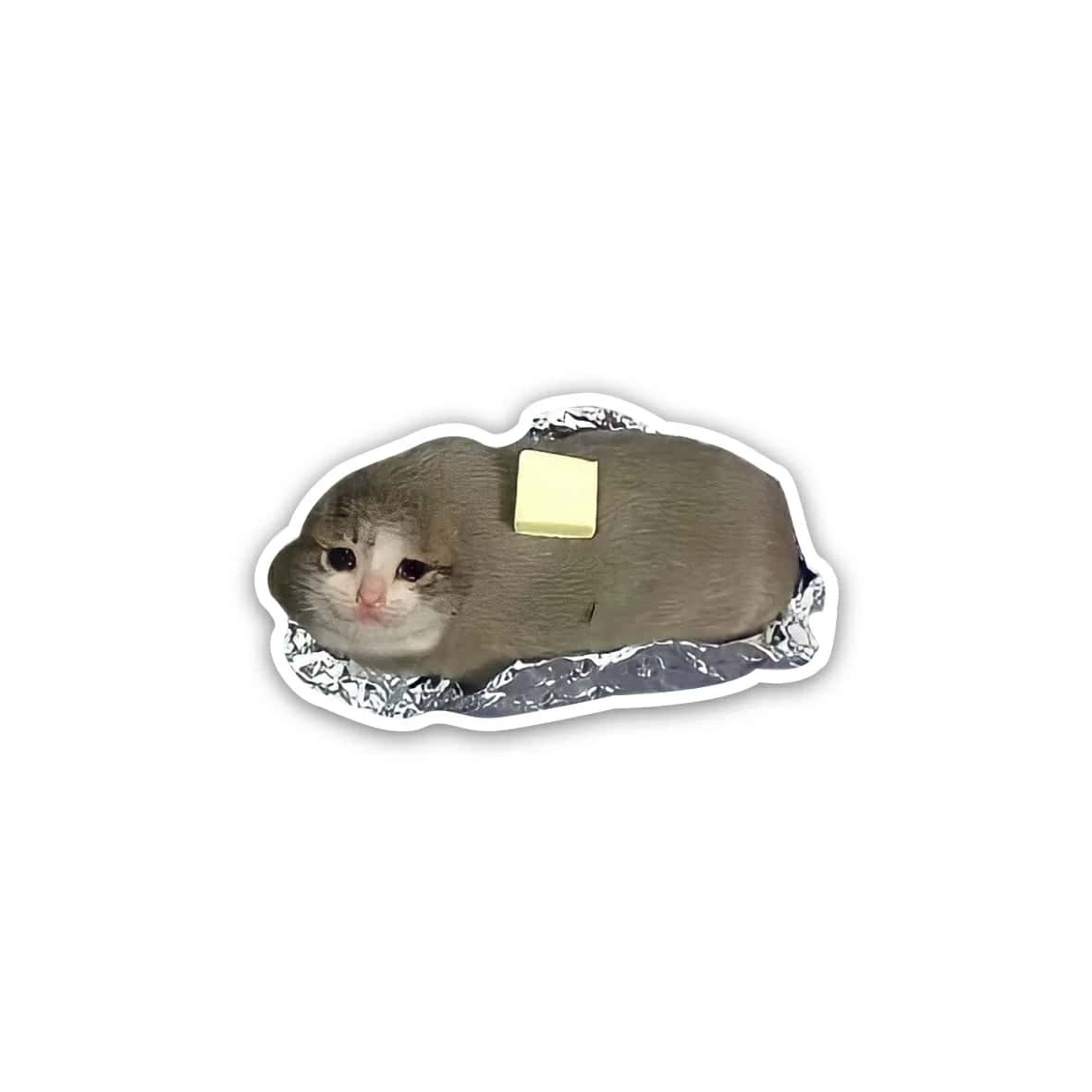 HlIoGMnpWZyEDlUqITVN1BUTW4Aqr9GGyymCxRvC.jpg Cat meme 4- Sticker - الصورة 1