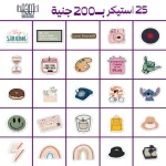 6 Laptop sticker bundle