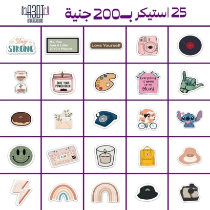 6 Laptop sticker bundle