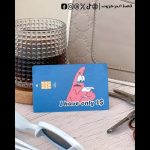 i have only 1 -Visa Sticker