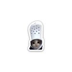 Cat meme 6- Sticker