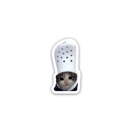 Cat meme 6- Sticker