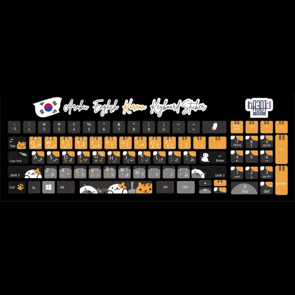 PWN3rr4yZH76evjDSCjYpaoMkDbJhIL2uLNGmWvM-1.jpg Cats (Arabic - English- Korean)- keyboard sticker - الصورة 1