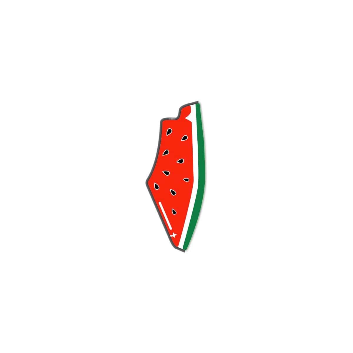 RgQb3HgQwlIyFXuPaDp3p9RxPzMIbYMuTeLqMB3r.jpg خريطه فلسطين -lapel pin - الصورة 1