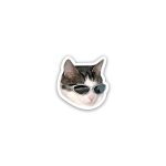 Cat meme wearing glasses 6- sticker