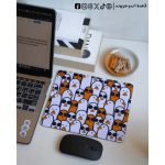 Ducks  with glasses -mouse pad