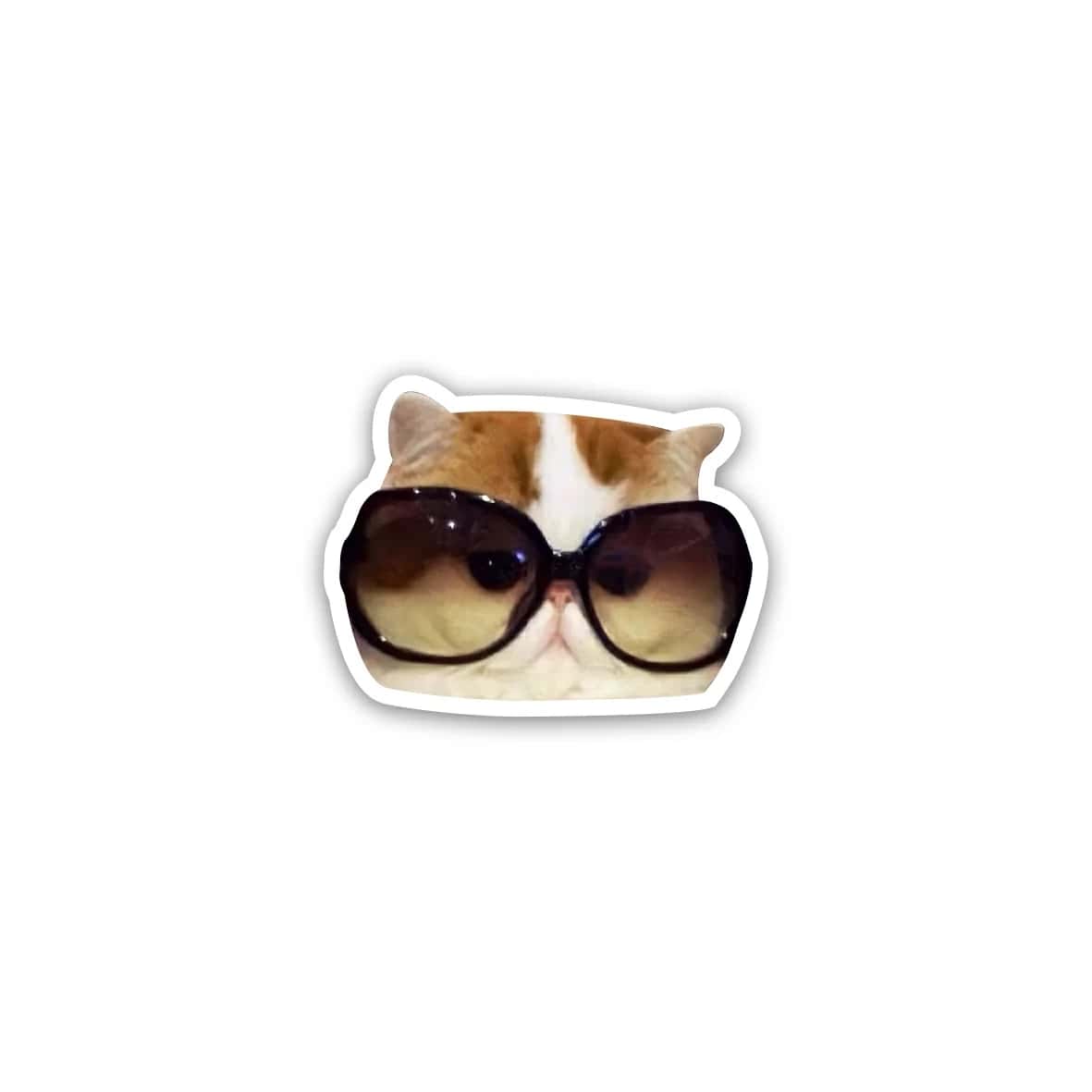 h6NtddeuRfrskcjDhDVhC6oHpcQBr2hQ3vUCrd8v.jpg Cat meme wearing glasses- sticker - الصورة 1