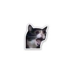 Cat meme 2- Sticker