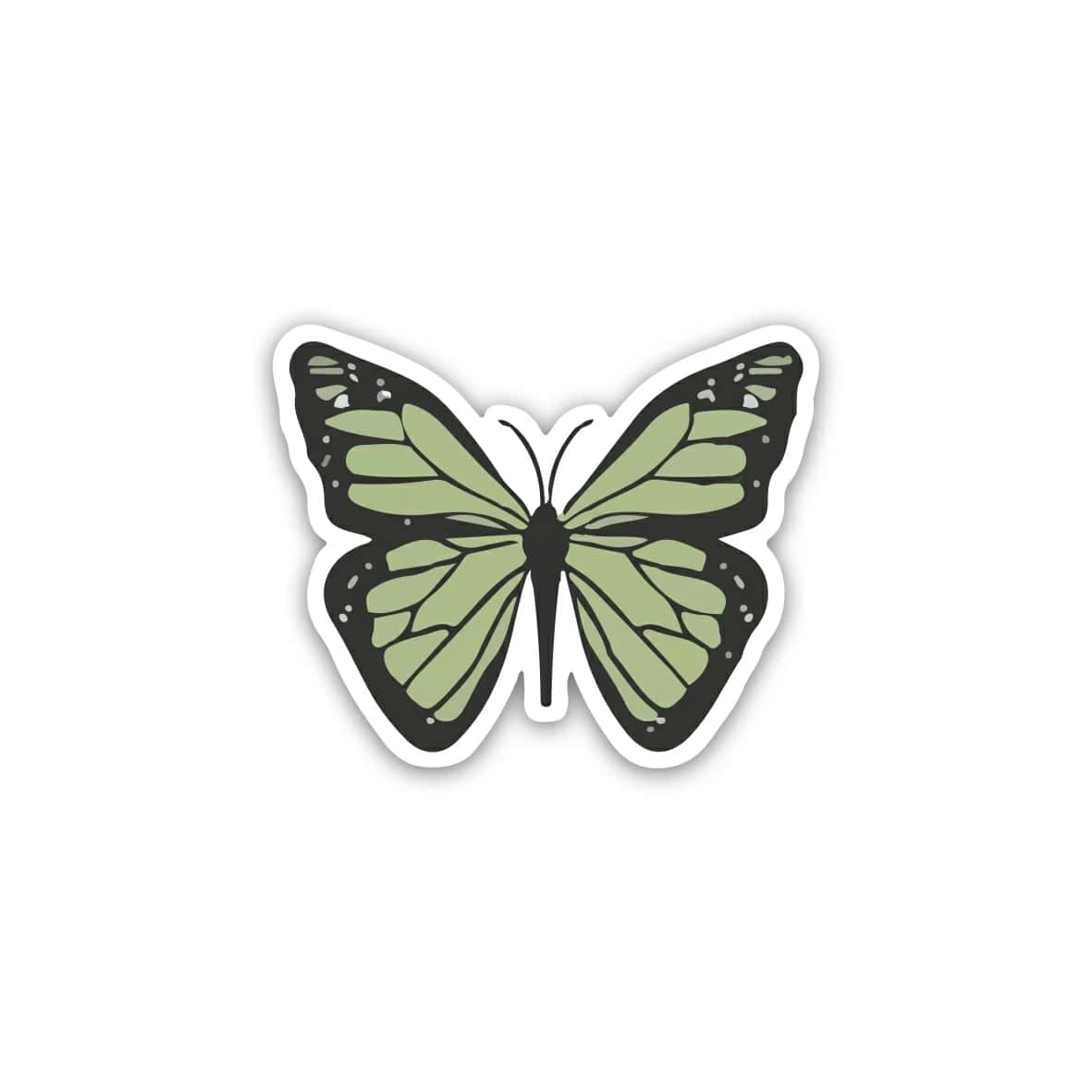 lEUyV9k5XgTQGlV6DD07TcgdrgvrC9ujdczcrbEw.jpg Green Butterfly- Sticker - الصورة 1