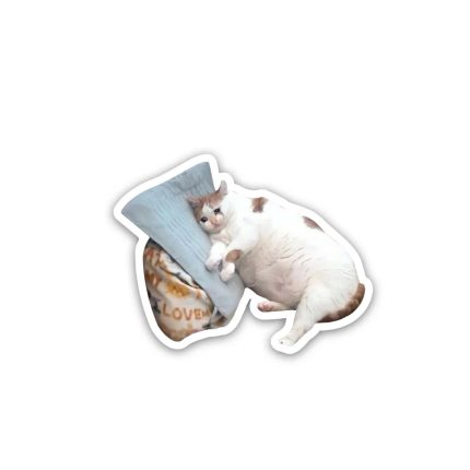 Cat meme 3- Sticker