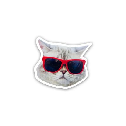 Cat meme wearing glasses 3- sticker