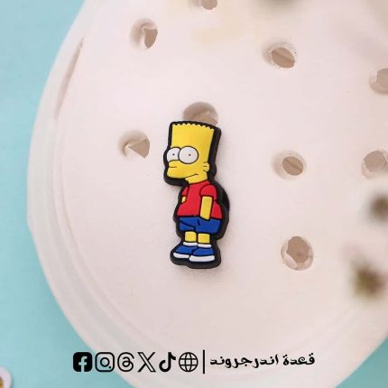 The Simpsons shy- crocs charms