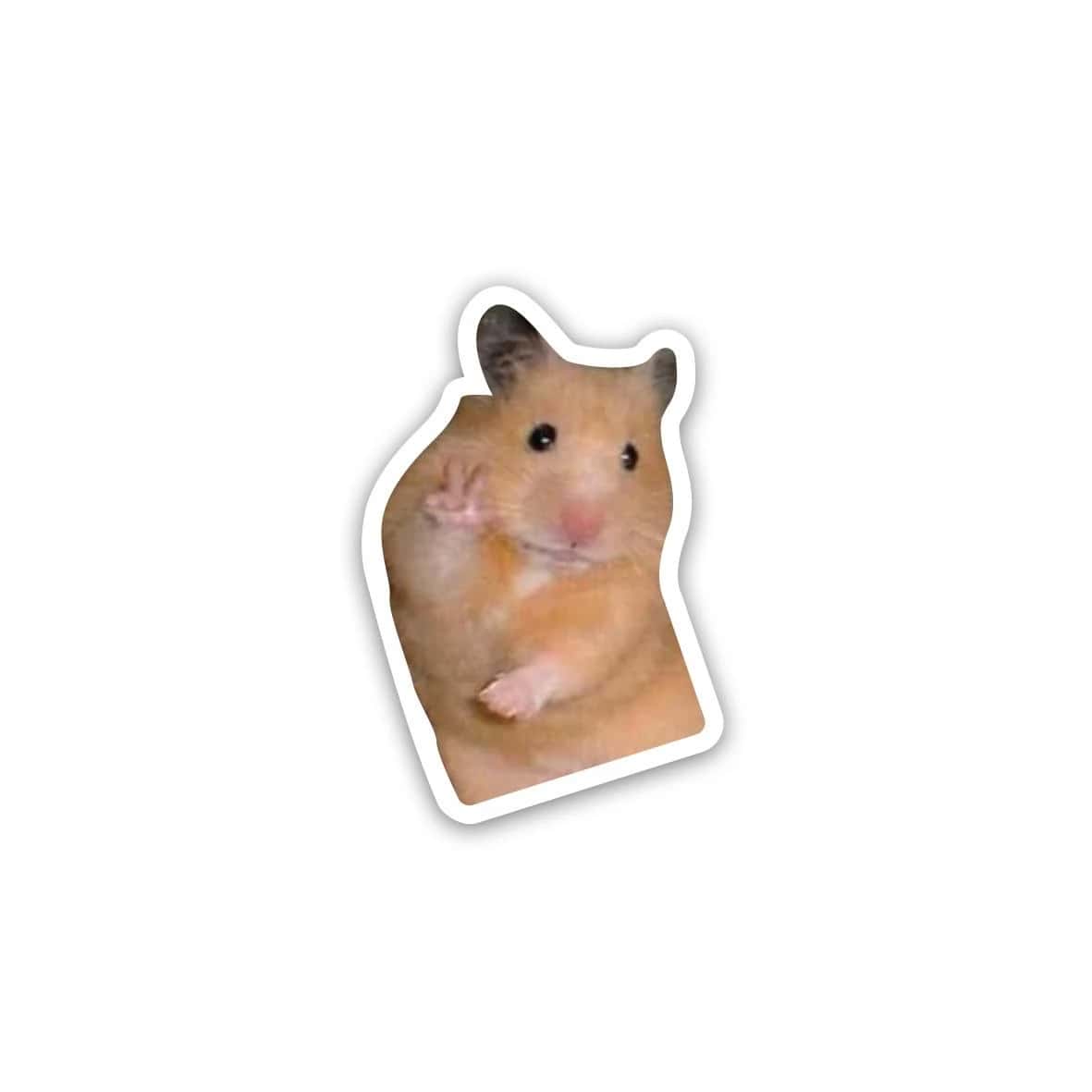 rMlsIBbOMezBLlJTft45WVSycfXHpUqAlQ6zNRxy.jpg rat hi 1- sticker - الصورة 1