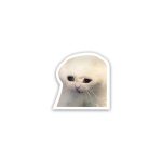 Cat meme 1- Sticker