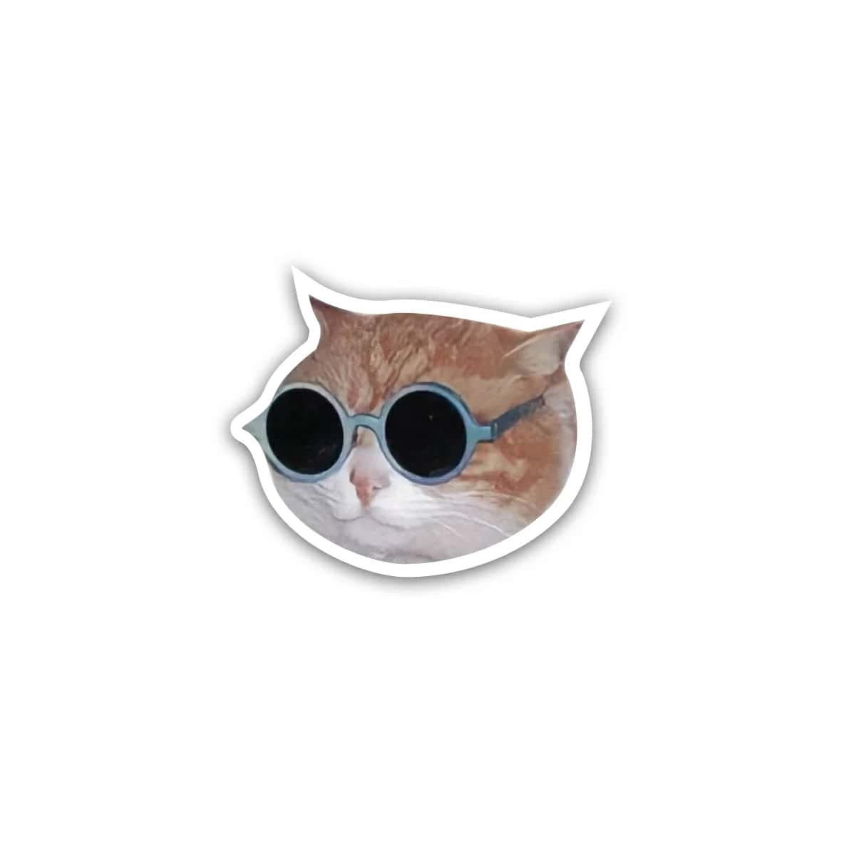 xZ3nITWDvzioxmA4lMSI1RLahVJ0OYSZLm8Vlrcr.jpg Cat Sunglasses meme- sticker - الصورة 1
