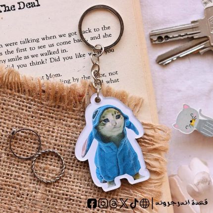 Crying Cat meme -key chain